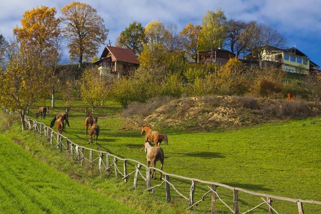 Country House Na Malenom Brijegu Bjelovar Room photo